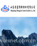  Shandong Mengyin Cotton Textile Co., Ltd.